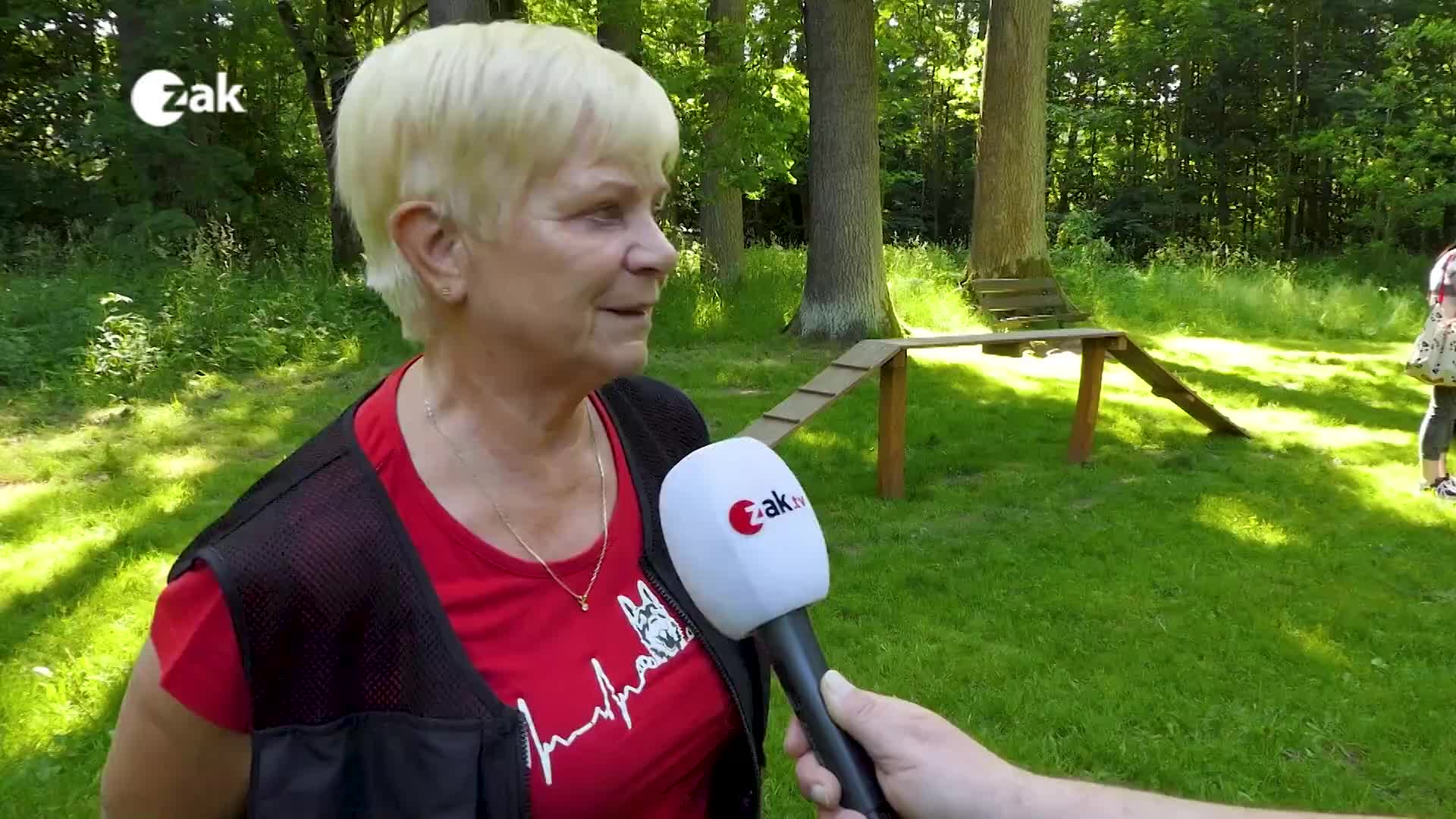 Zpravodajský expres