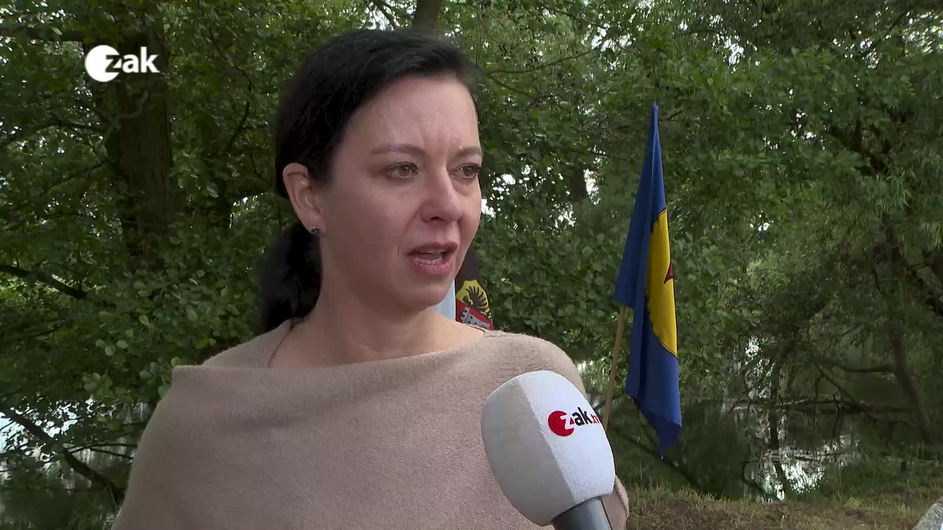 Zpravodajský expres