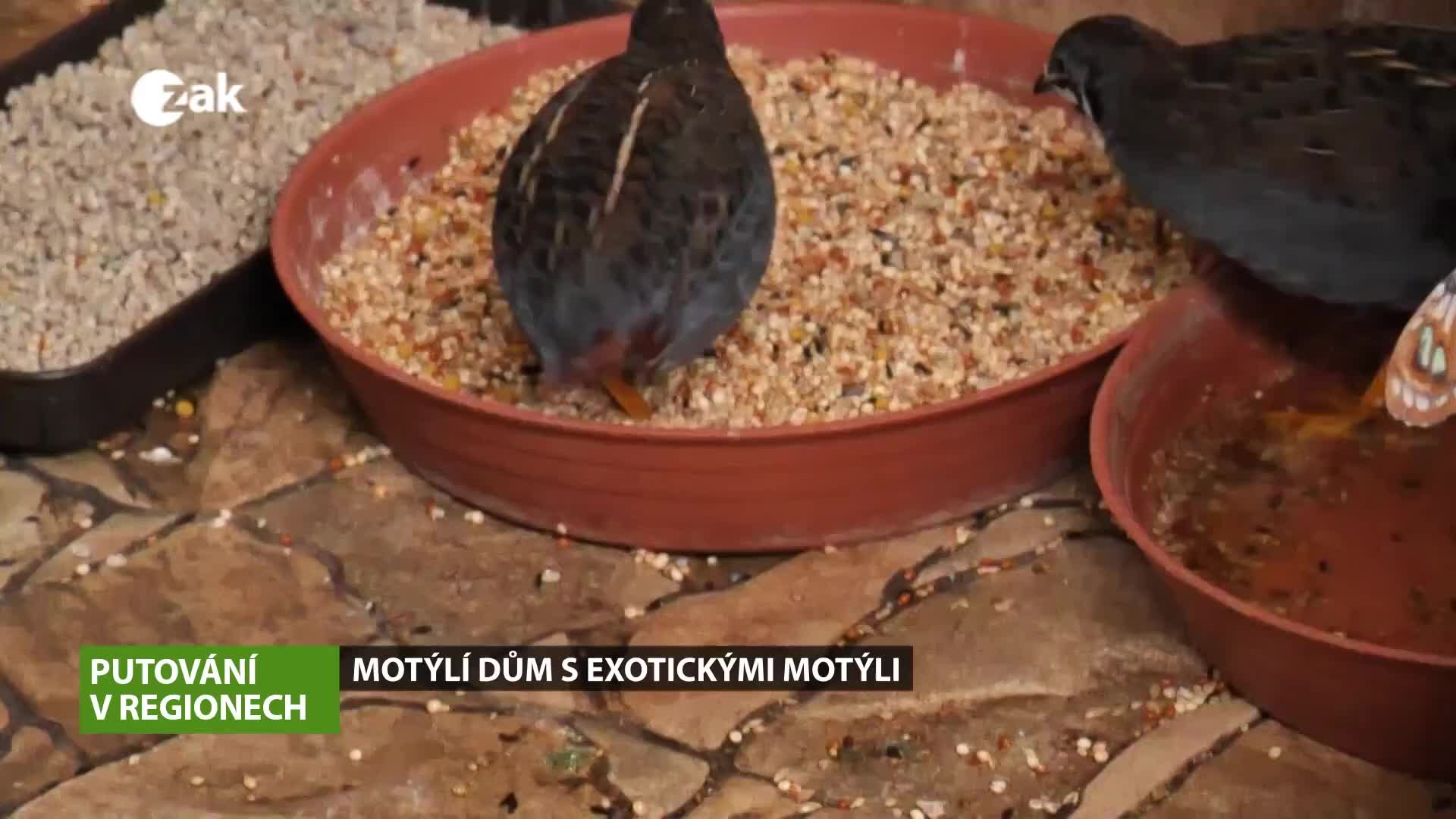 Putování v regionech