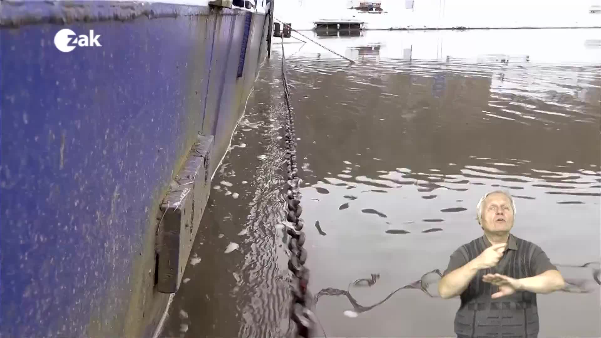 Pořady ve znakové řeči