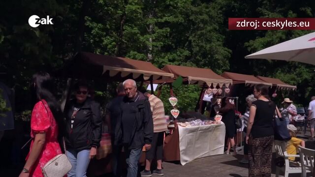 Kultura a sport