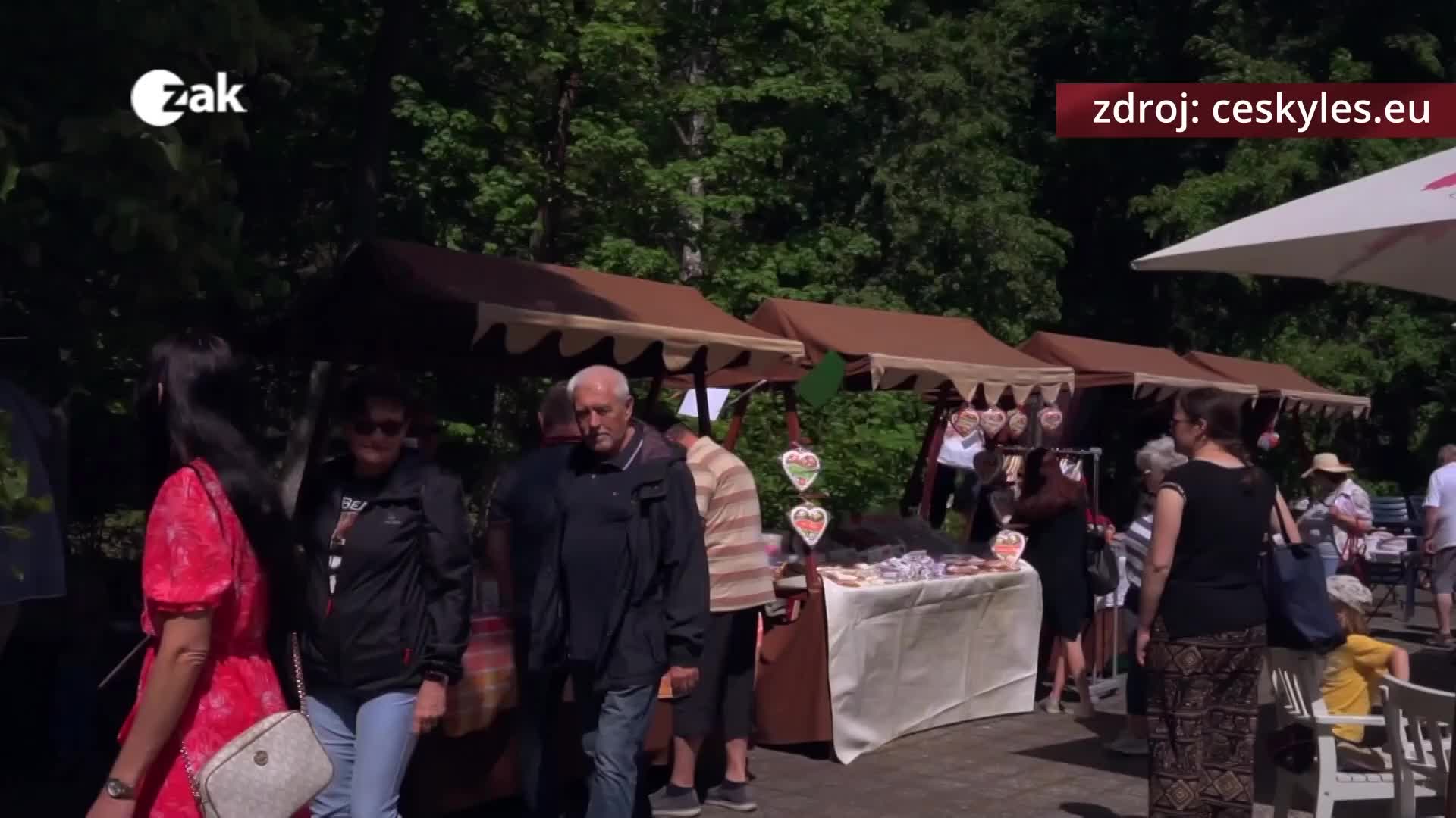 Kultura a sport