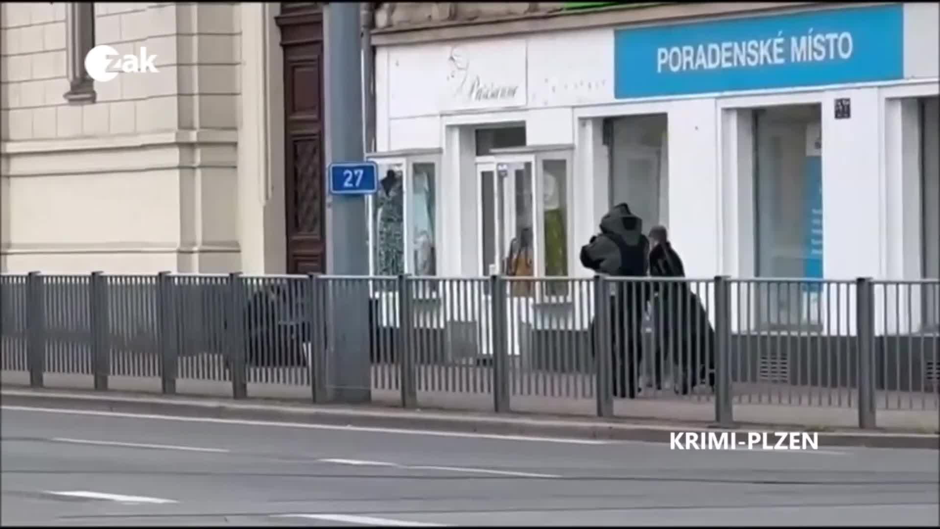 Zprávy