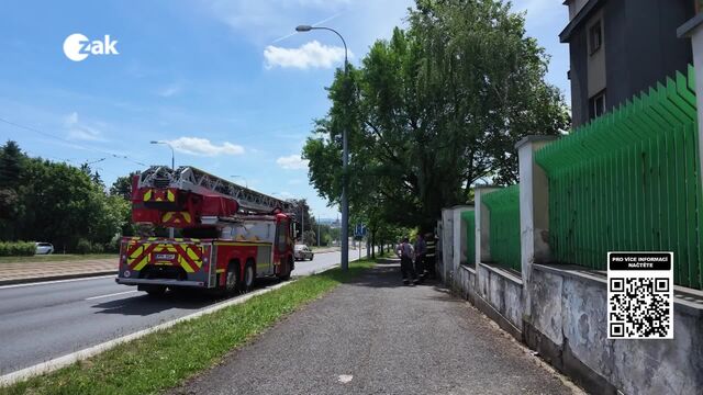 Zprávy