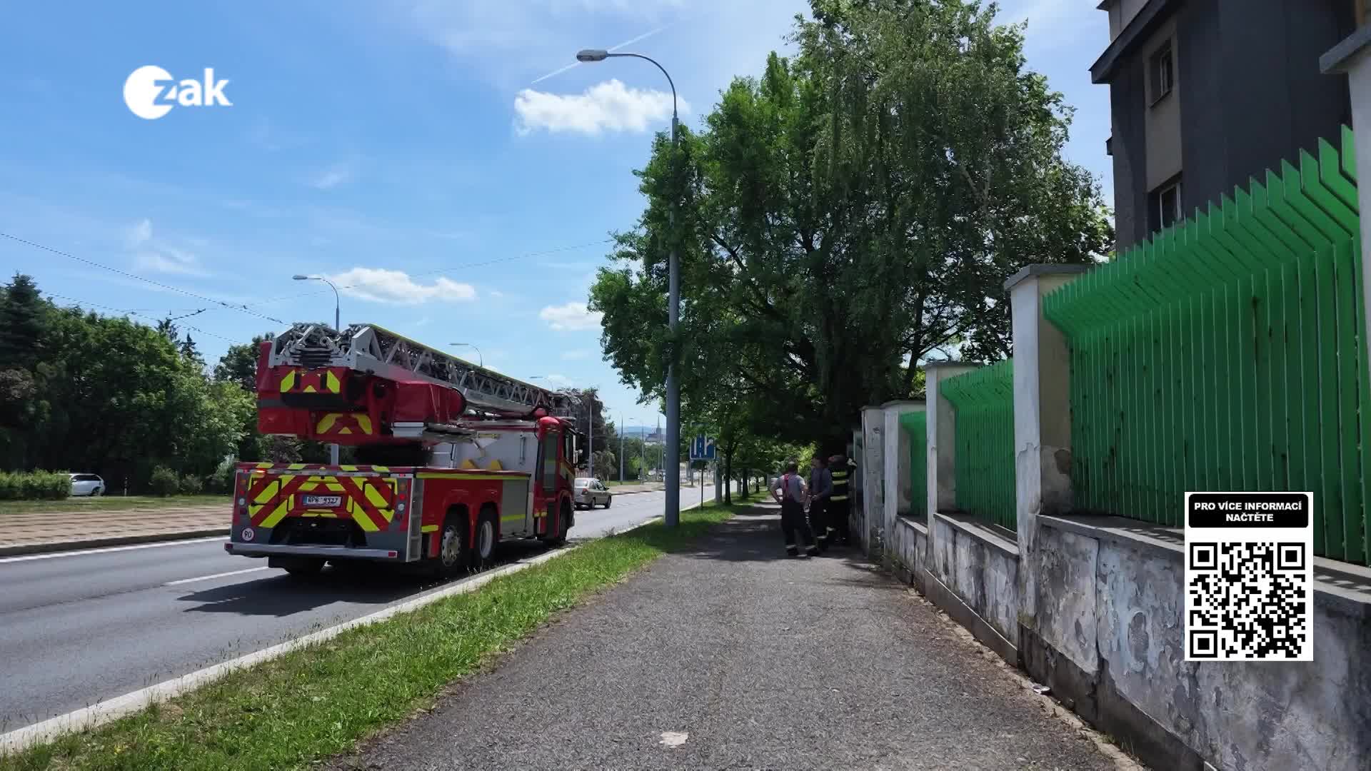 Zprávy