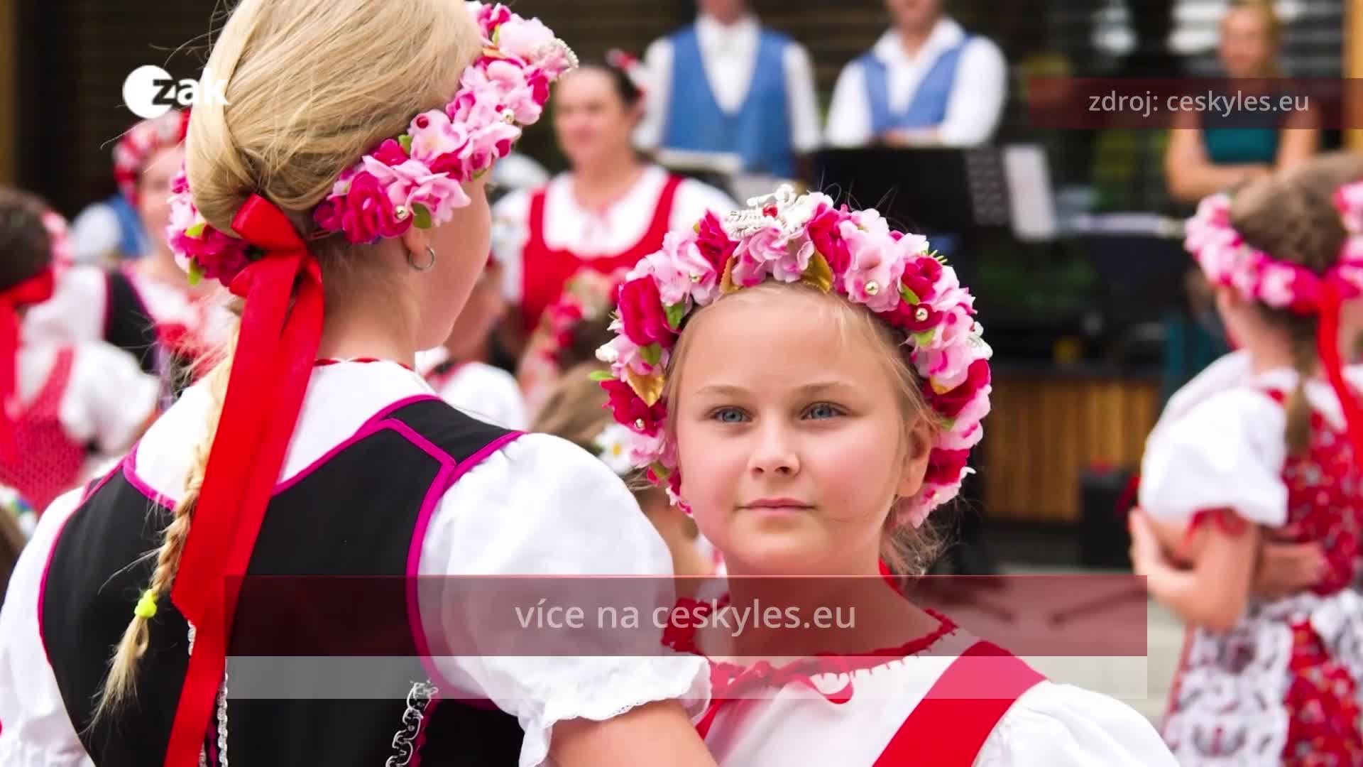 Kultura a sport