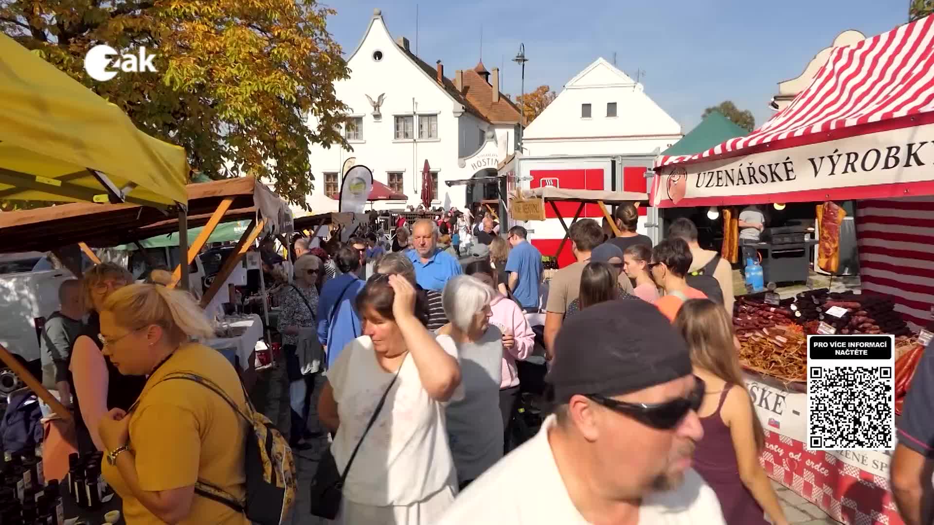 Zprávy