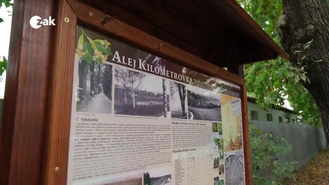 Plzeň v kostce