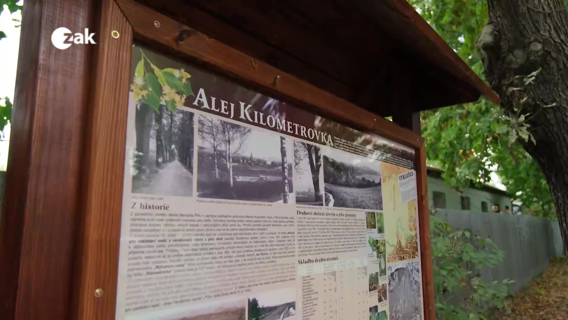 Plzeň v kostce