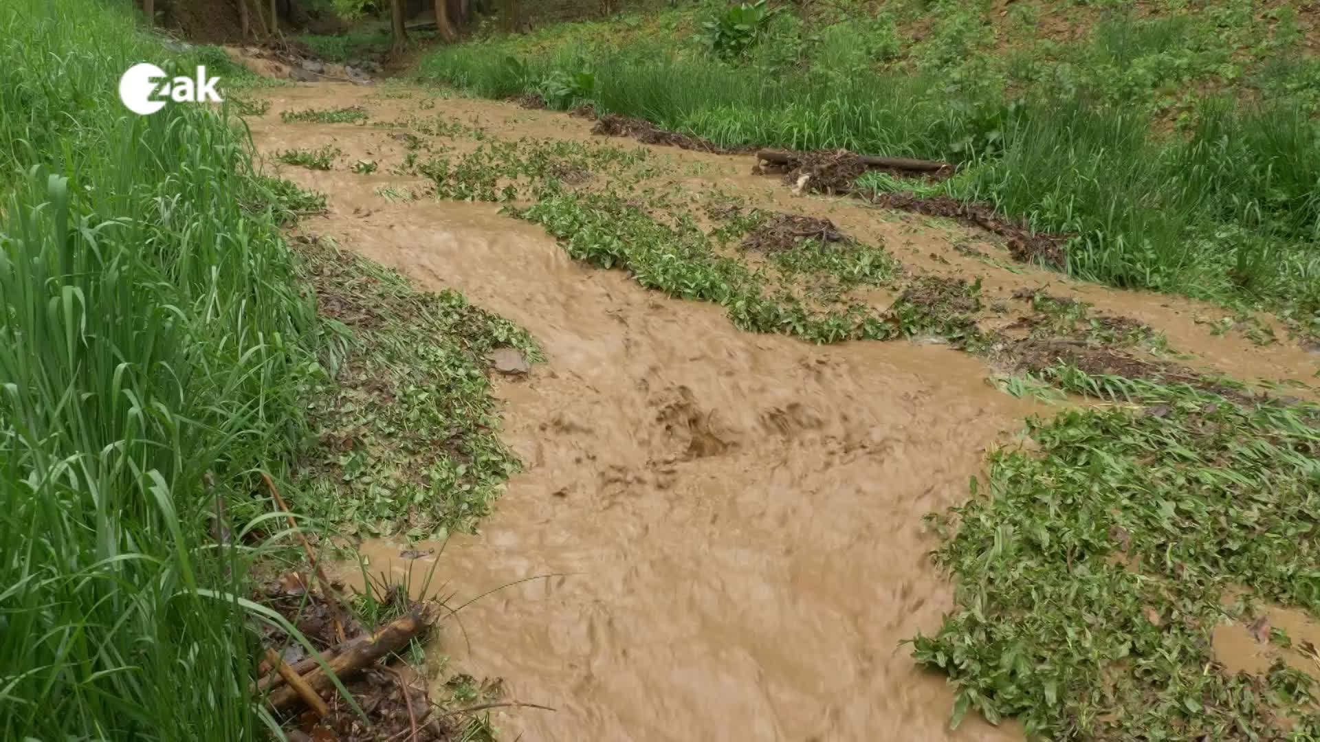 Jak žije Plzeňský kraj