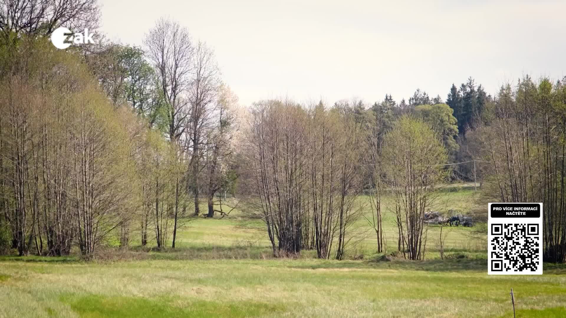 Zprávy